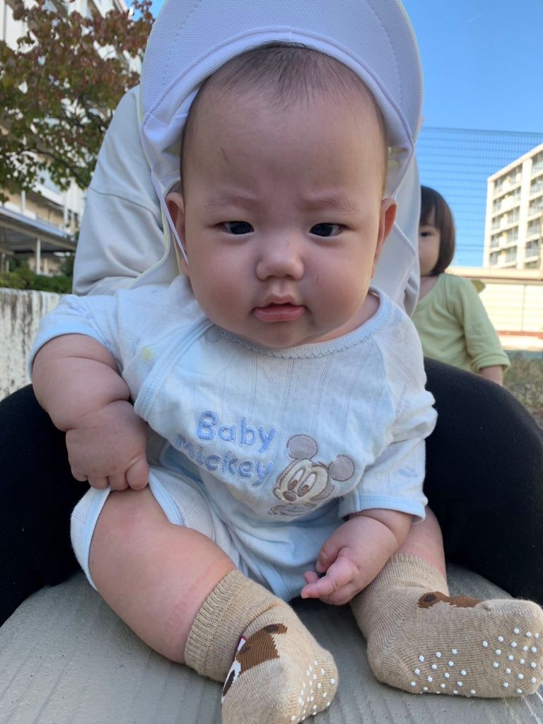 ひよこ組さんの一年間🐤